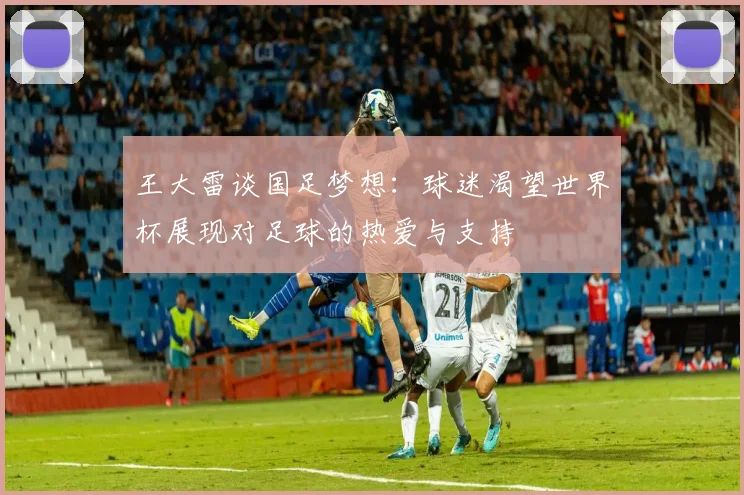 王大雷谈国足梦想:球迷渴望世界杯展现对足球的热爱与支持