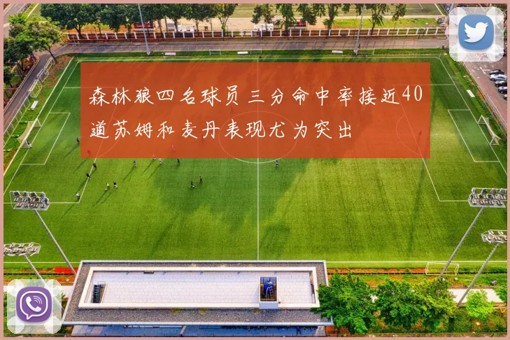 森林狼四名球员三分命中率接近40道苏姆和麦丹表现尤为突出