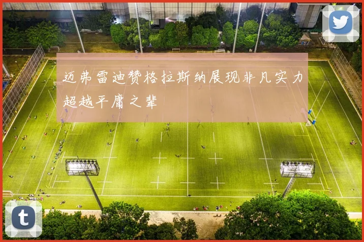 迈弗雷迪赞格拉斯纳展现非凡实力超越平庸之辈